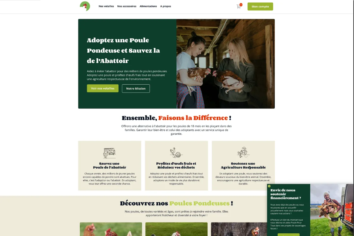 Page d'accueil de la marketplace Poule pour tous