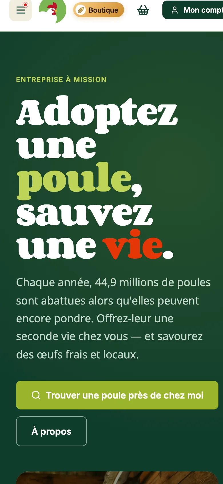 Accueil du site en version mobile