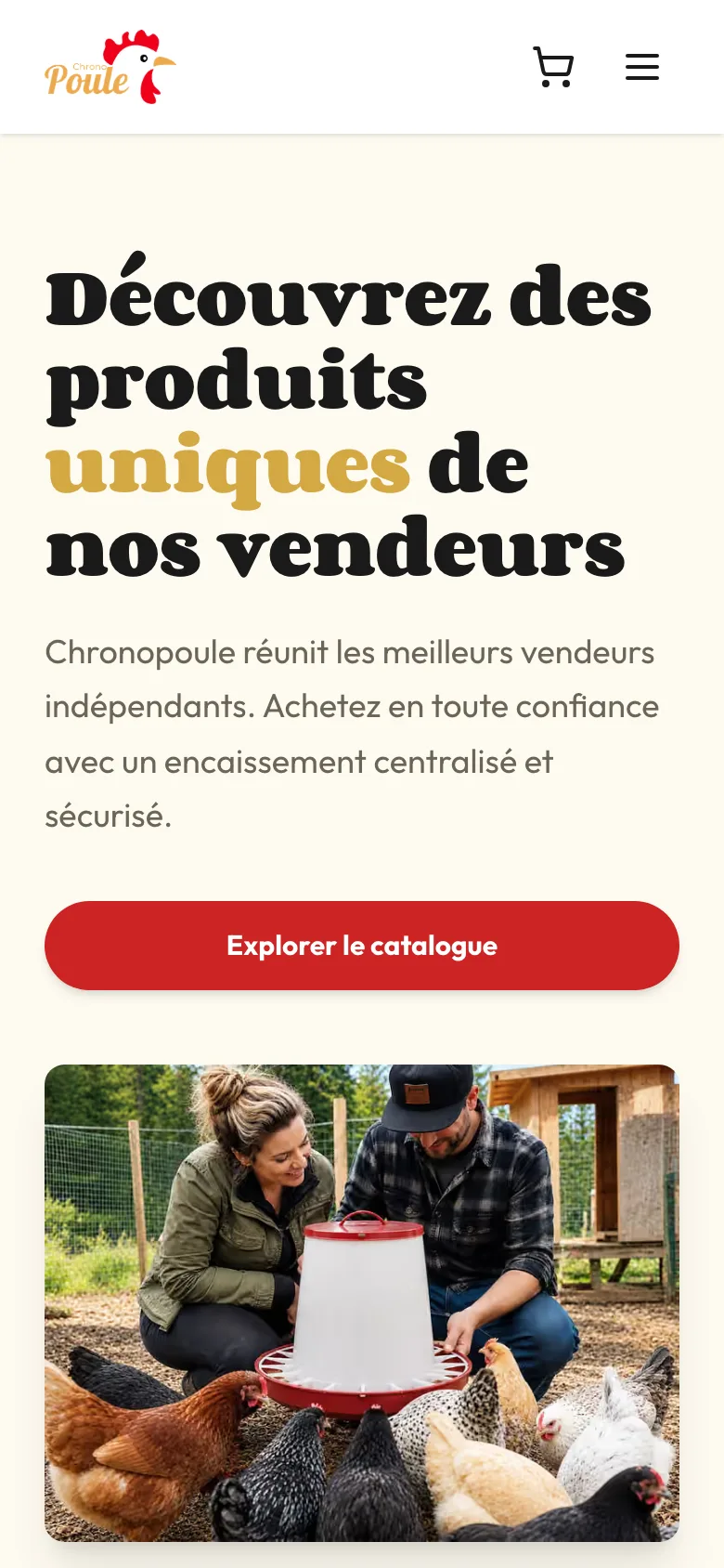 Accueil de la boutique sur mobile
